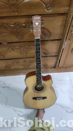 TGM EQULIJAR aquistic guitar